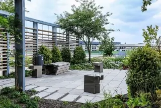 Senior Citizen Area